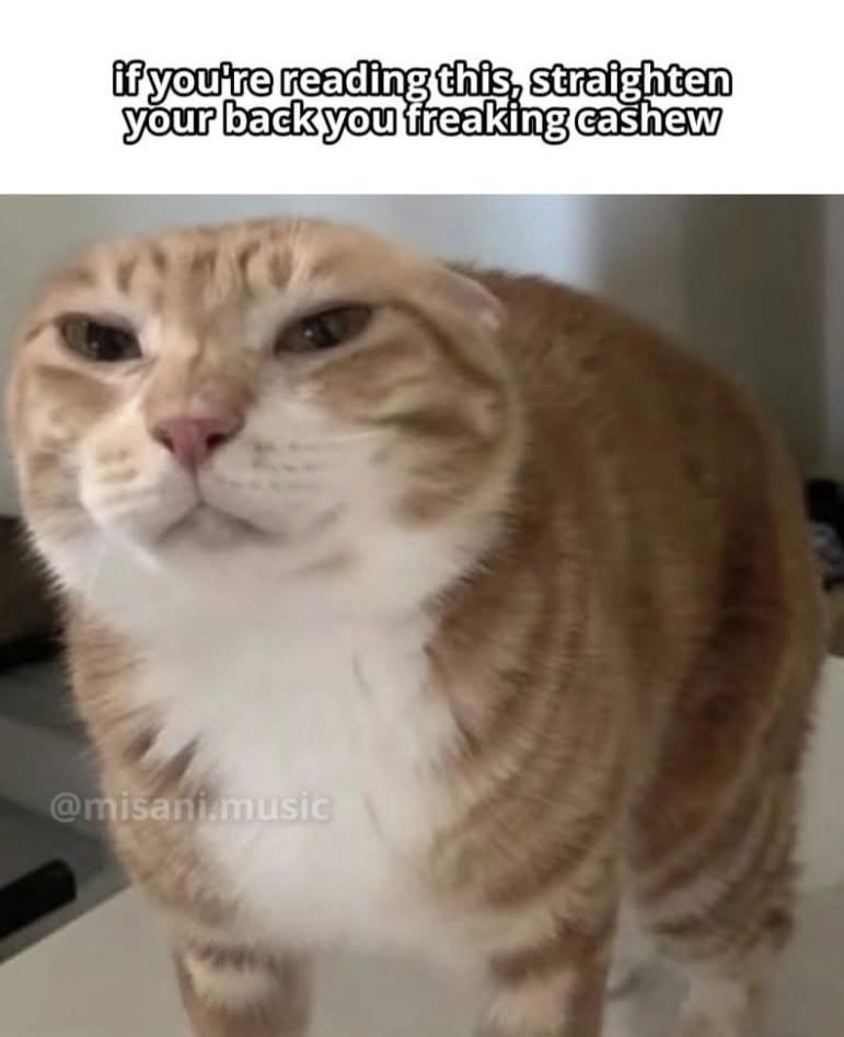 Voice actors of twitter, HEAR ME!! 
How'd you find your way into the industry? I've been wanting to give it a shot but I'm kinda clueless! 
Image unrelated
#voiceacting #VoiceActors