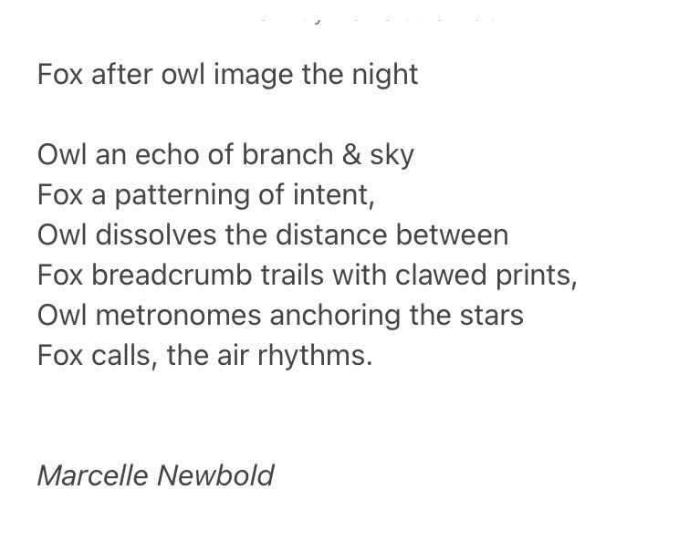 marcellenewbold's tweet image. Seasons Greetings to @TopTweetTuesday poets. Its been a wonderful year of poetry, I've enjoyed my Tuesday nights reading in the bath🛀! Many thanks to the poets, hosts, and especially @MatthewMCSmith. Tricky to choose 3 poems from the year, as the prompts have been so diverse