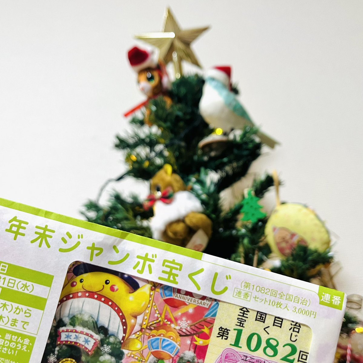 うりぼー (@uriboooo3) / Posts / X