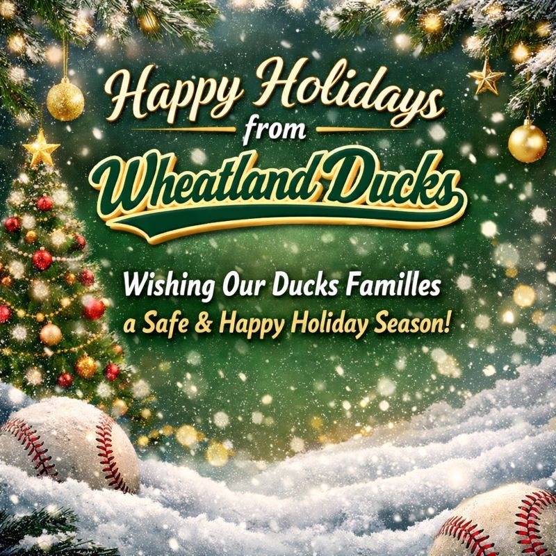 Ducks Academy tweet media