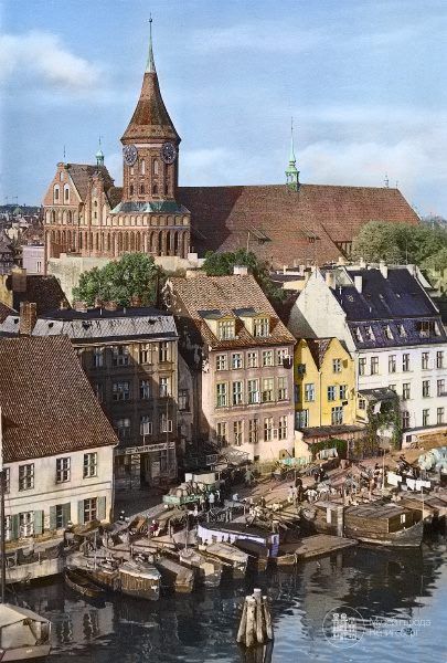 passssiflora's tweet image. El llamado socialismo prusiano concebía la economía como vinculada a la nación, no al individuo ni a la lucha de clases. Rechazaba el liberalismo económico por considerarlo egoísta y desintegrador y también al marxismo por su internacionalismo y su énfasis en el conflicto social.