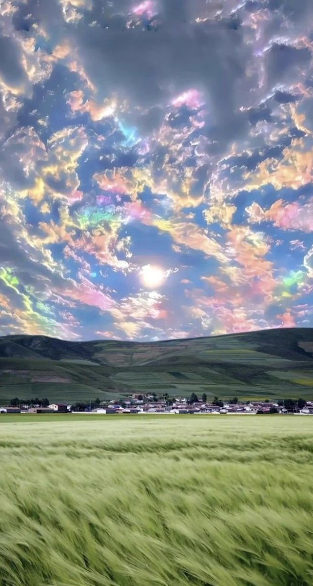 GoodFreestyles's tweet image. リフレッシュしたい。外出たら気持ちよかった✨しよかな 🛁 🐕