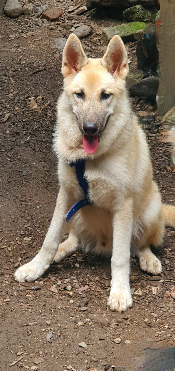 keddwin's tweet image. 