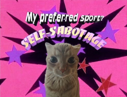 gakstercat's tweet image. 