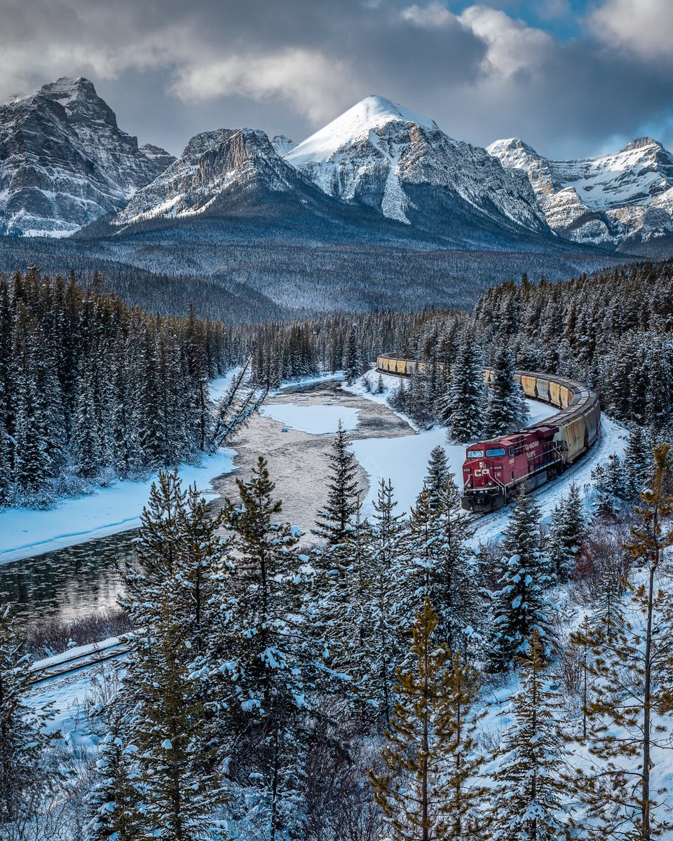 Dan the Man tweet media