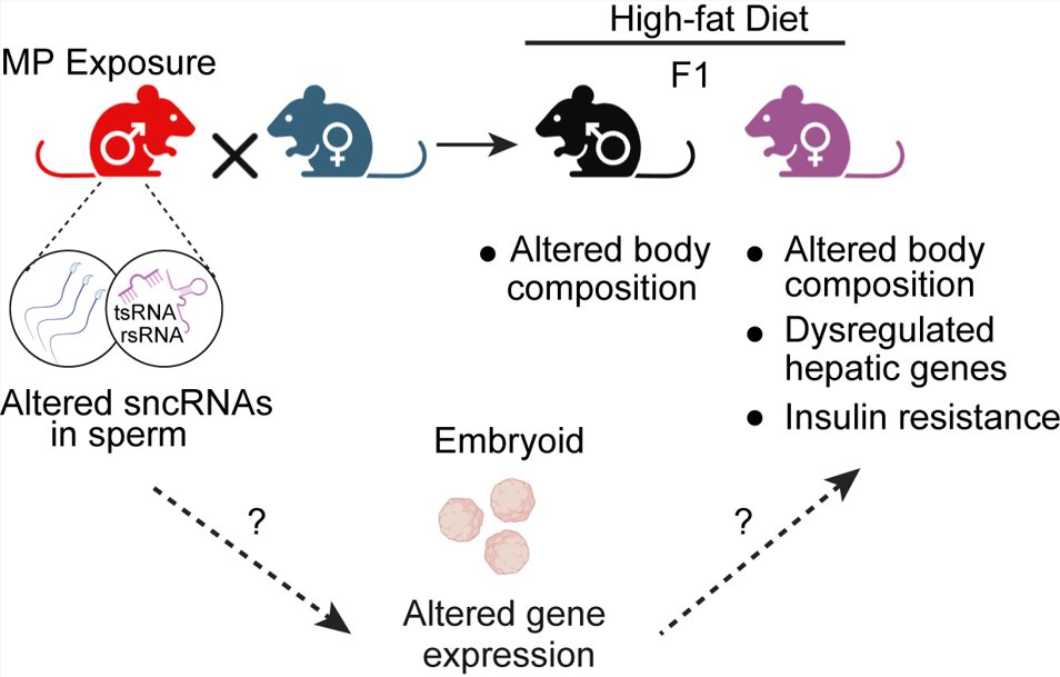 Zhou Lab tweet media