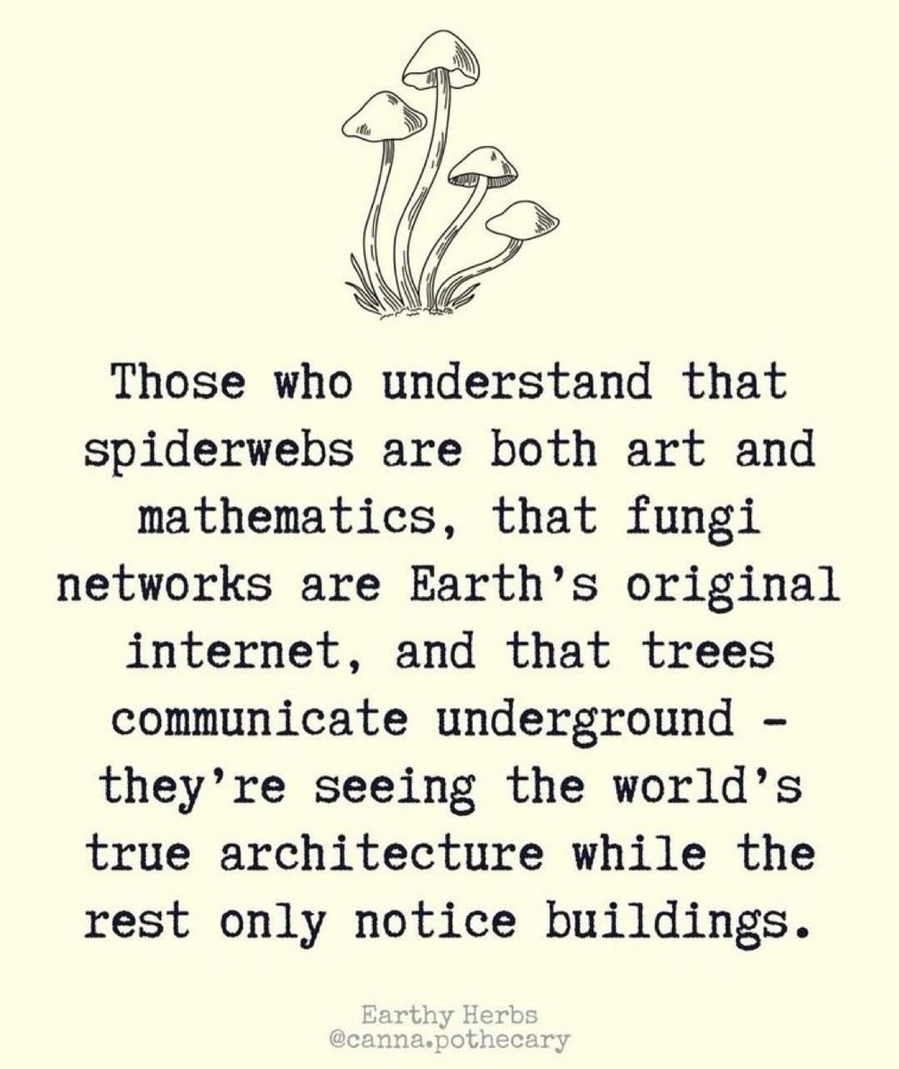 MyBearNinja's tweet image. 