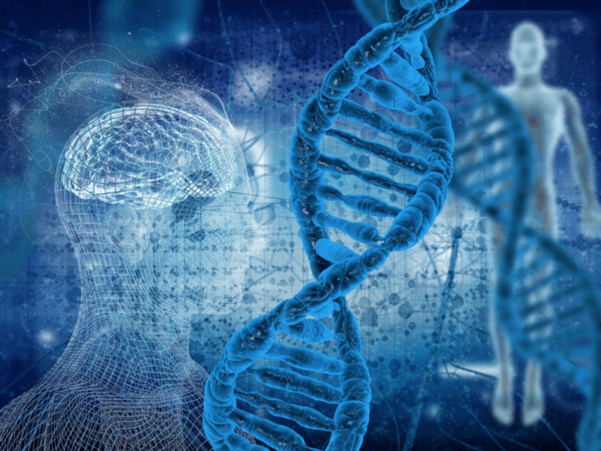 وجودك اليوم حي تمشي على الأرض كان نتيجة سلسلة طويلة جدا من النجاحات المتكررة المتتالية في نقل الجينات خلال الأجيال السابقة .. نفس هذه الجينات لديها نزعة قوية جدا لإكمال سلسة النجاح في المرور .. 

لا تستهين أبداً بوجودك الآن انت من القليل الذي استطاعوا المرور بنجاح و النجاة ..