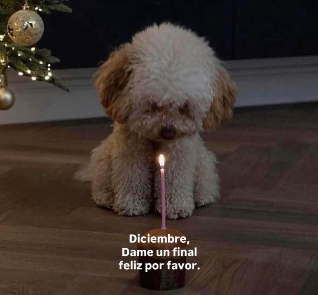 Lonely🥀 (@angelo_uf) on Twitter photo 