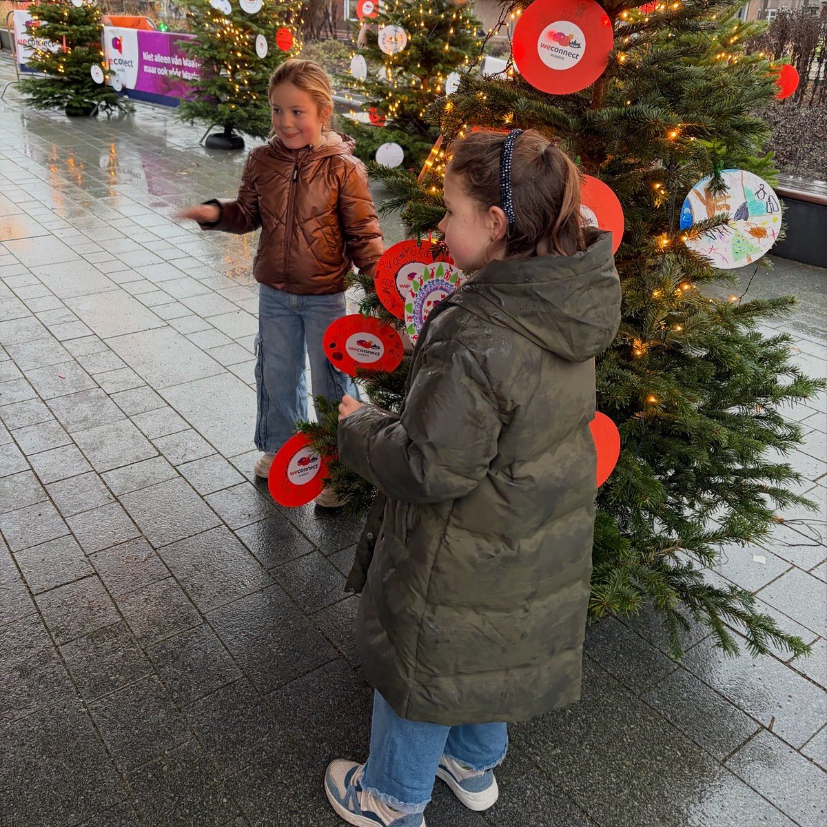 Vorig week hingen basisschoolkinderen van De Drijfveer, De Meent en Ekenrooi mooie kerstwensen in de kerstbomen op Den Hof. Ben je in de buurt? Neem dan zeker even een kijkje om ze te lezen 🌟