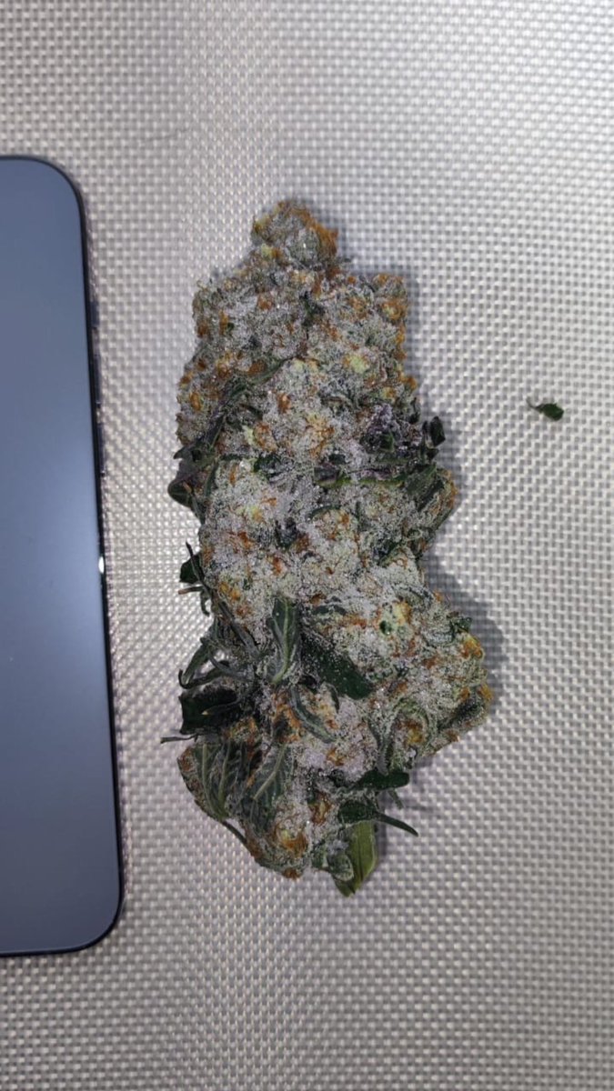 KapowBaSed's tweet image. Tssss