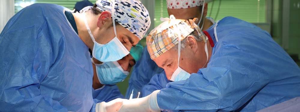 152 عملية زراعة كبد في الأردن ونسبة بقاء تتجاوز 69% #الاردن 