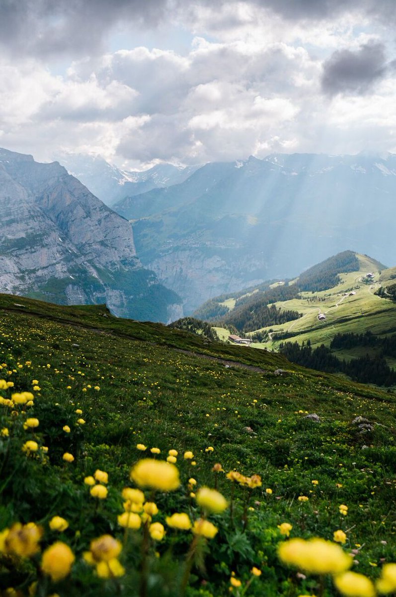 BornRentals's tweet image. やっほー まったりしたい気分けど少しだけ昼寝しよ！ ☀️ 🙂