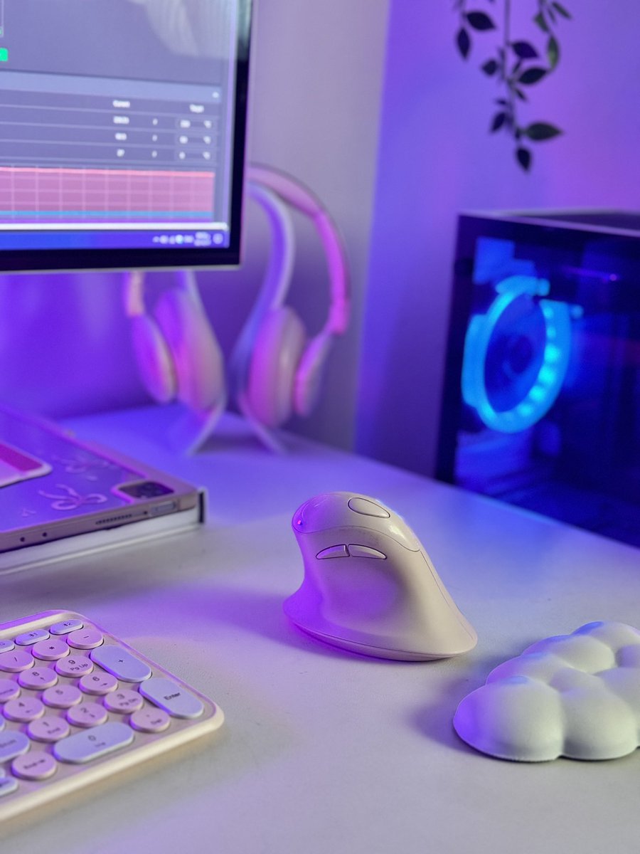 عائشة | 3D tweet media