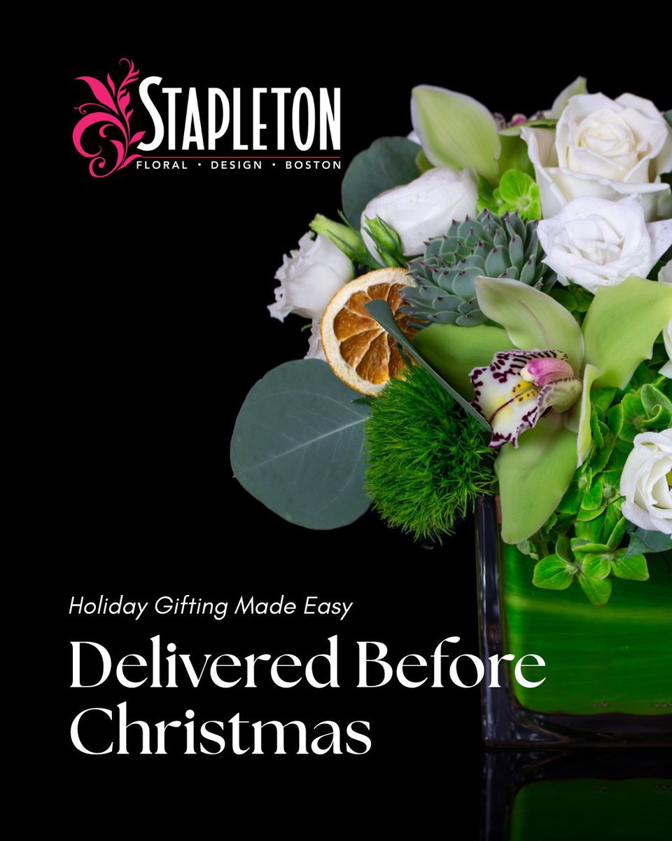 stapletonfloral's tweet image. Holiday gifting made easy.

Skip the store trips &amp;amp; send seasonal flowers instead. Order online and enjoy same-day delivery for orders placed before 1 PM. Brighten someone’s day with Stapleton Floral.

stapletonfloral.com/holiday-arrang…

#HolidayFlowers #SameDayDelivery #StapletonFloral