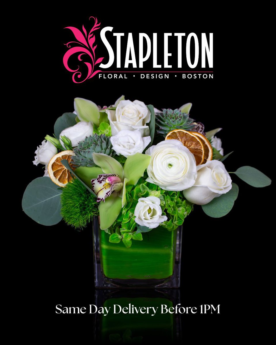 stapletonfloral's tweet image. Holiday gifting made easy.

Skip the store trips &amp;amp; send seasonal flowers instead. Order online and enjoy same-day delivery for orders placed before 1 PM. Brighten someone’s day with Stapleton Floral.

stapletonfloral.com/holiday-arrang…

#HolidayFlowers #SameDayDelivery #StapletonFloral