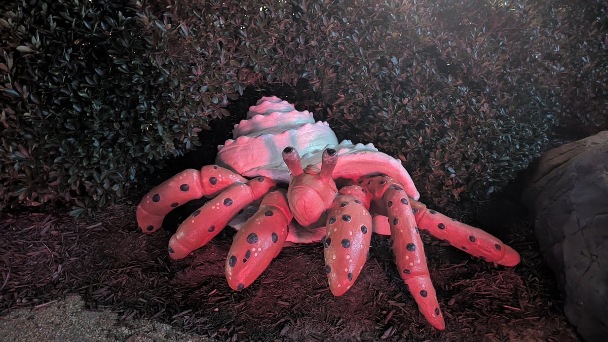 Sol4tr33s's tweet image. This is Grumpy Crab, Grumpy Cat's best friend 🙁😂