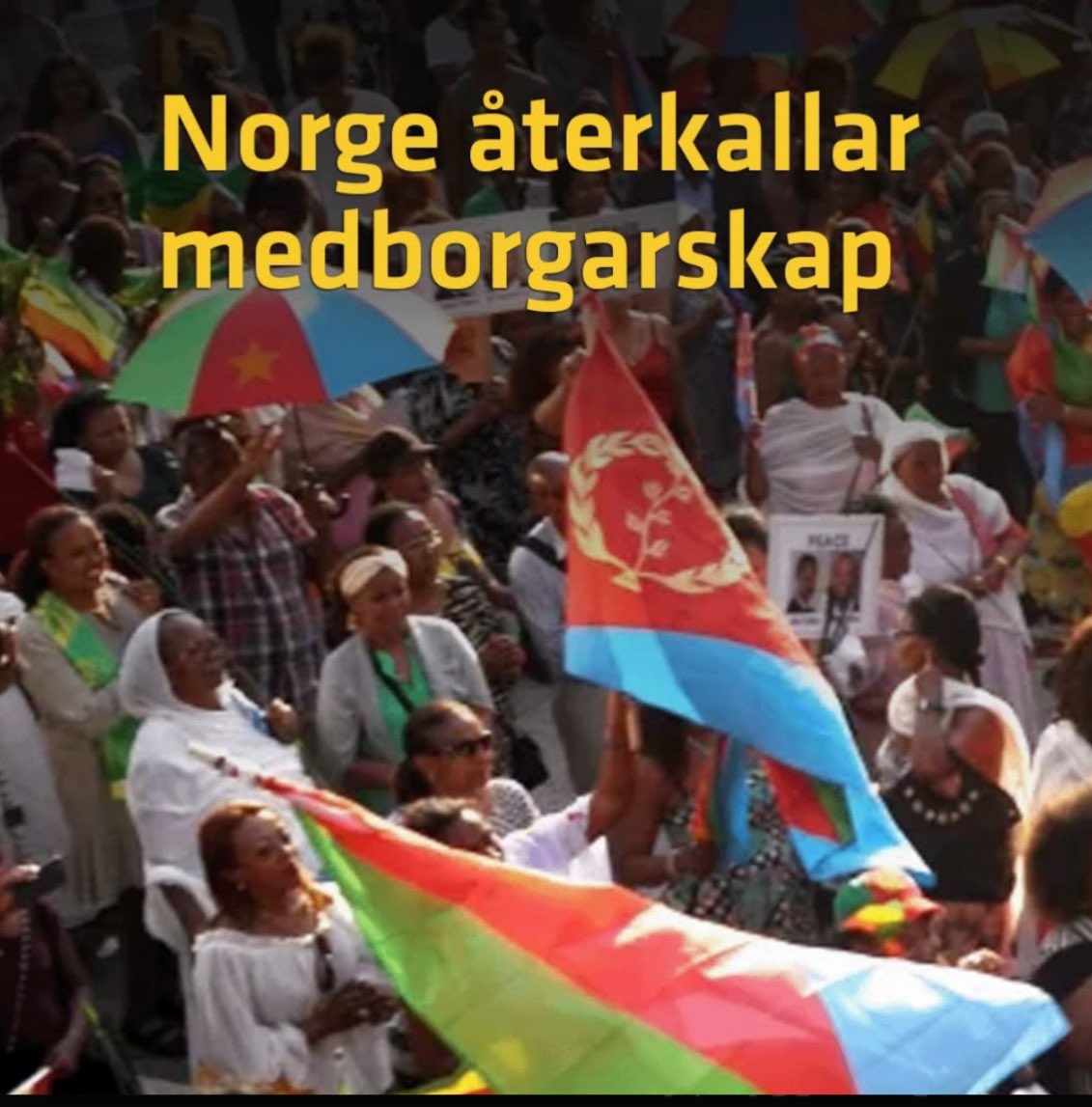 Zekarias tekle eseyas tweet media