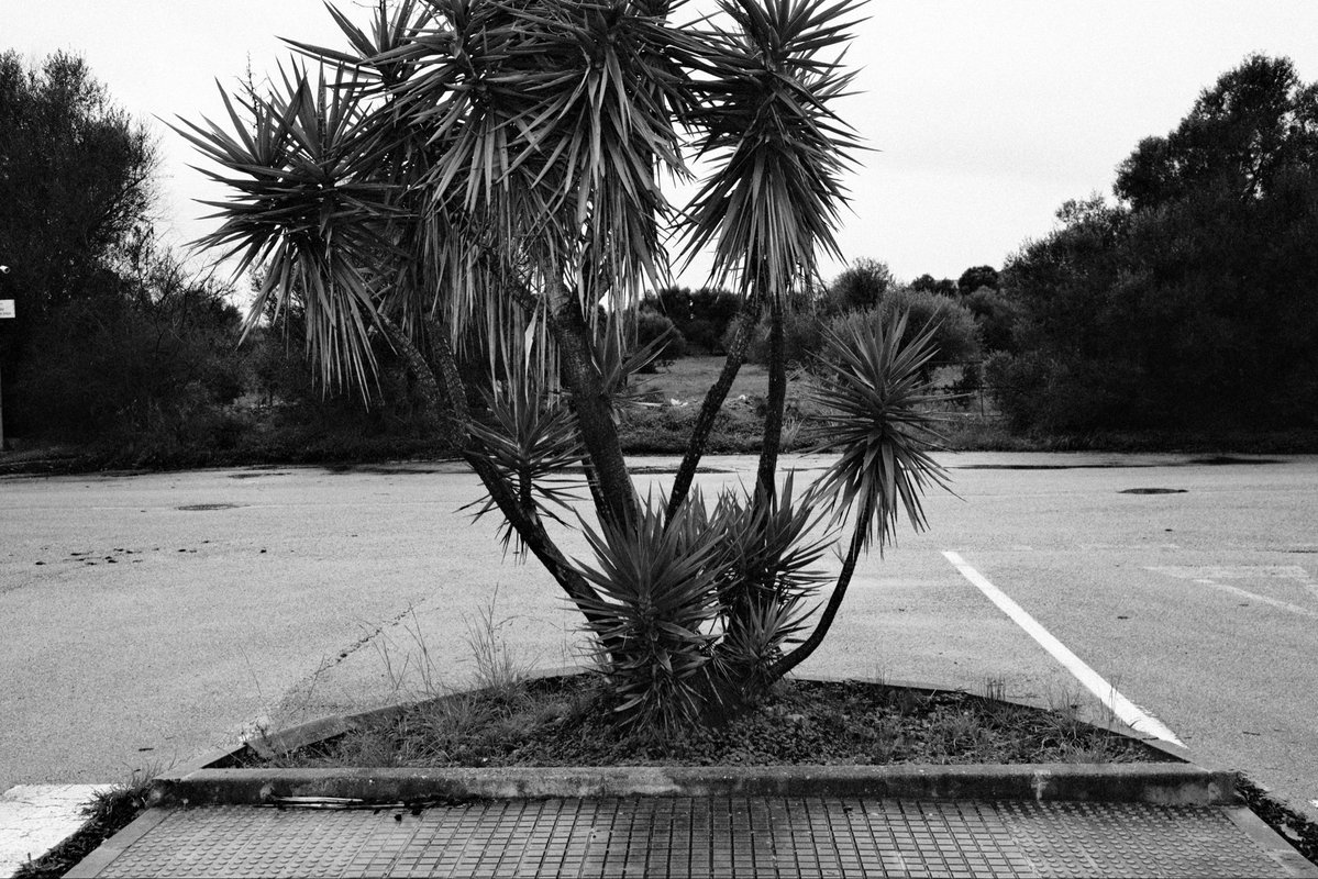 usaps's tweet image. DAY23
251223
X-H2SVOIGTLÄNDER 27MMULTRON
ONLYFRGMT BW RECIPESETUP LOCKED
STRAIGHT OUT OF CAMERANO EDITS
FRAGMENT STYLE.FRGMT x HIROSHI RECIPE RUNNING NAKED ON THE SENSOR
FUCKED-UP B&amp;amp;W MOMENTS
APHOTOEVERY DAY IN DEC.
#FRGMT31
#FUJIFILMXH2S
#VOIGTLANDER27MM
#FRGMTBW
#FUJIFILM
#BNW