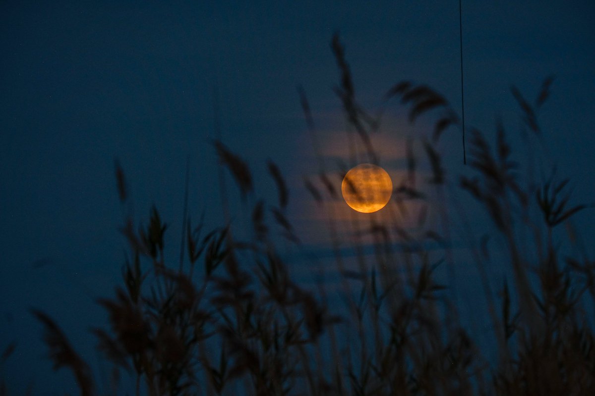 Emermuo's tweet image. Good night fam

Can I Get a gn back?