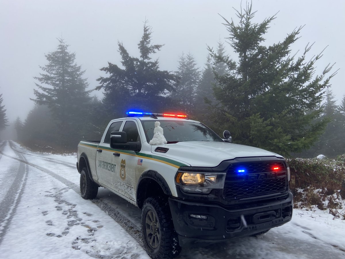 Siuslaw Nat'l Forest tweet media