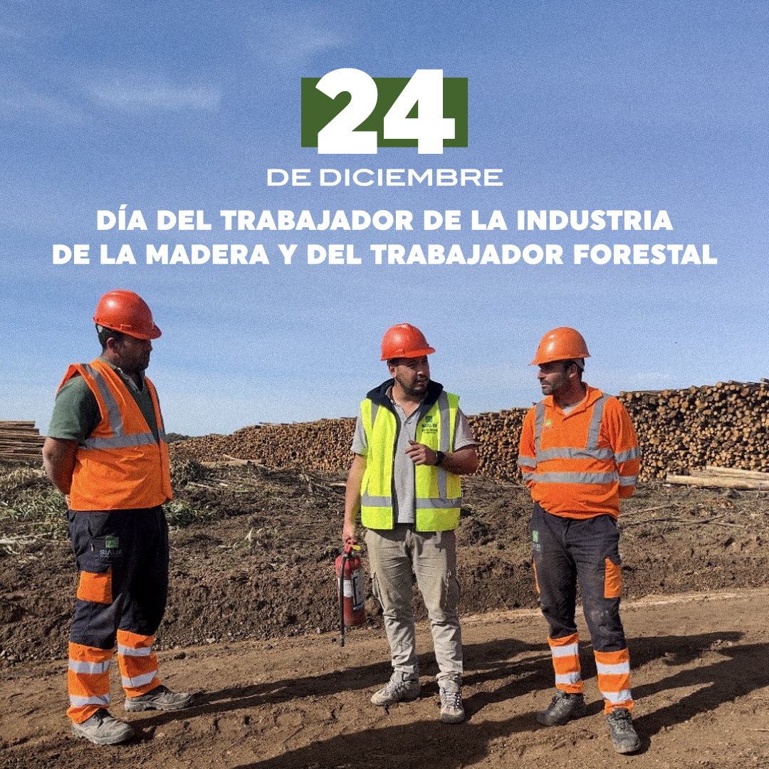 Sociedad de Productores Forestales tweet media