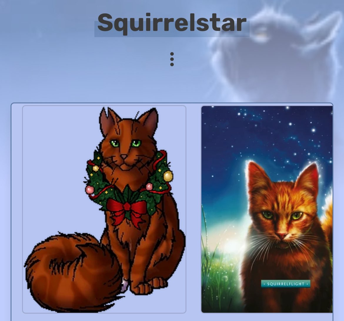 Squirrelstar 🐿️⭐️ tweet media