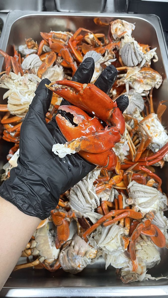 gabole di tweet media