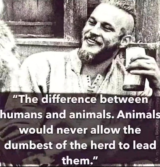 OSISNetlas's tweet image. The difference between humans and animals: Animals would never allow the most foolish members of their species to lead them.