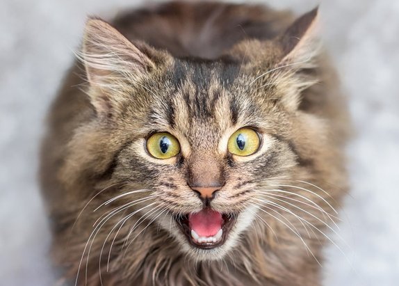 DustinRyan1985's tweet image. ただいま〜 リフレッシュしたいけどストレッチでもしよ💪！ 🛍️ 👨‍🦲