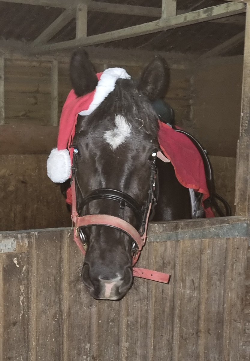 Merry Christmas Eve Eve!