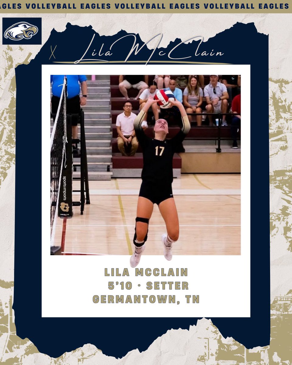 Juniata Volleyball tweet media