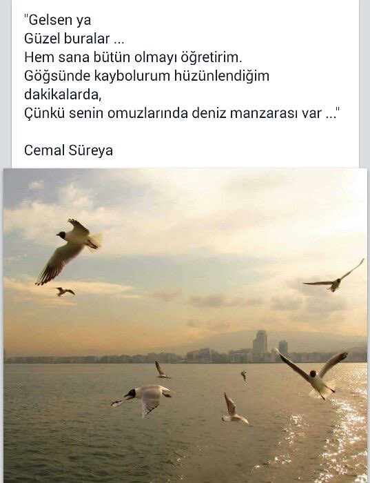 c_sureya's tweet photo. Gelsen ya
Güzel buralar.. https://t.co/aWmINEK1H1
