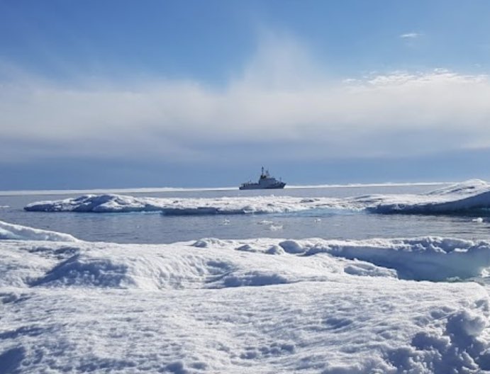 zabaleta_tomas's tweet image. Te espere en el glaciar que me dijiste primero. Fui al otro glaciar después. Pregunté por vos y nadie era Dragonite Navideño. Estuve 15 o 20 minutos en el polo norte SOLO y nadie me vino a preguntar nada.