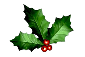 Ask The Headhunter tweet media