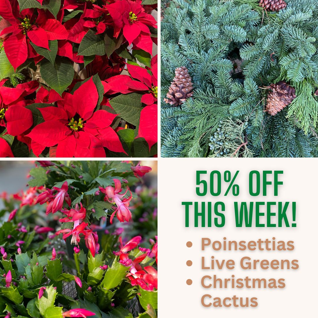 Alden Lane Nursery (@aldenlane) on Twitter photo 