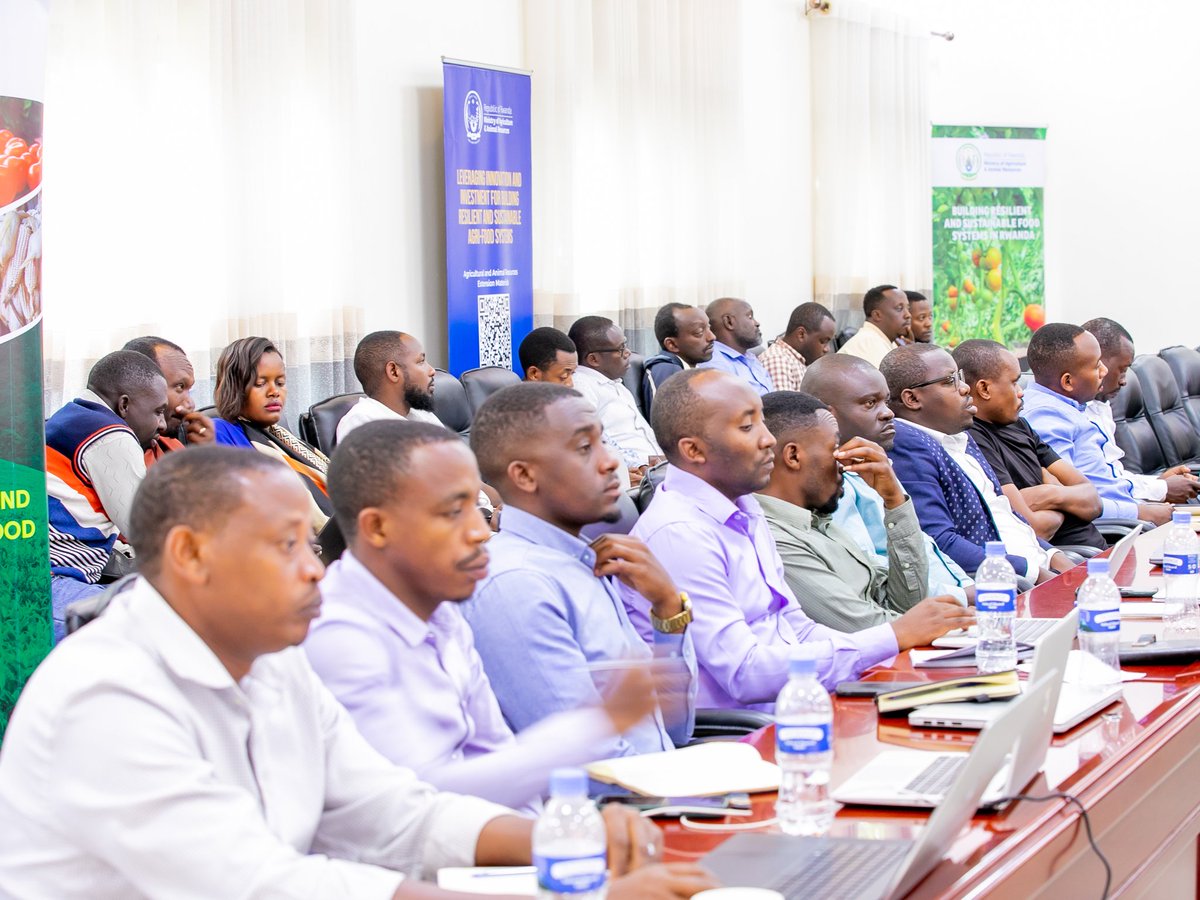 Ministry of Agriculture & Animal Resources |Rwanda tweet media
