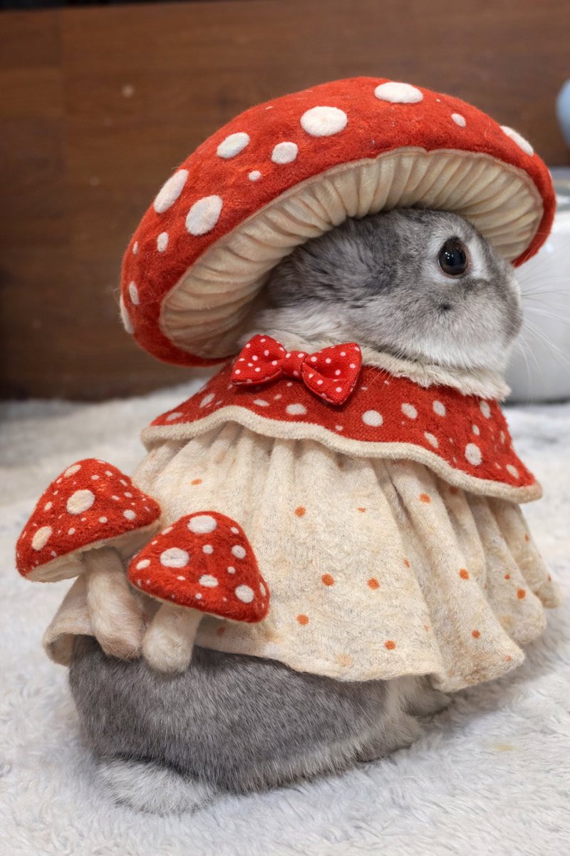 ChatGPTでパンちゃんにもキノコをかぶらせてみた🐰