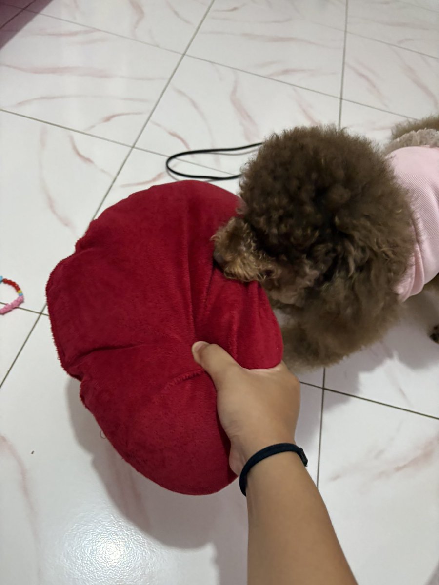 httphaikal's tweet image. KANGEN BOCAH