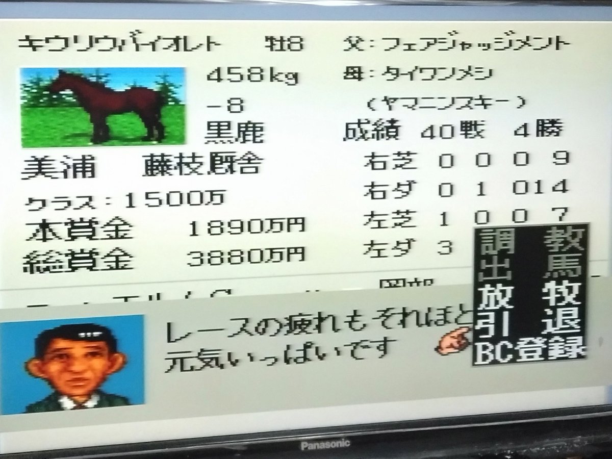 ▽本日の引退馬 #ダビスタ96