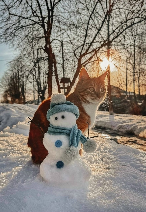 mami♡ 𝙼𝚊𝚖𝚒🌹 (@mami_mami813) / Posts / X