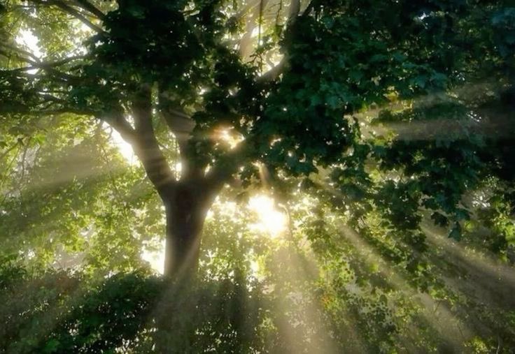 seraphicxc's tweet image. 