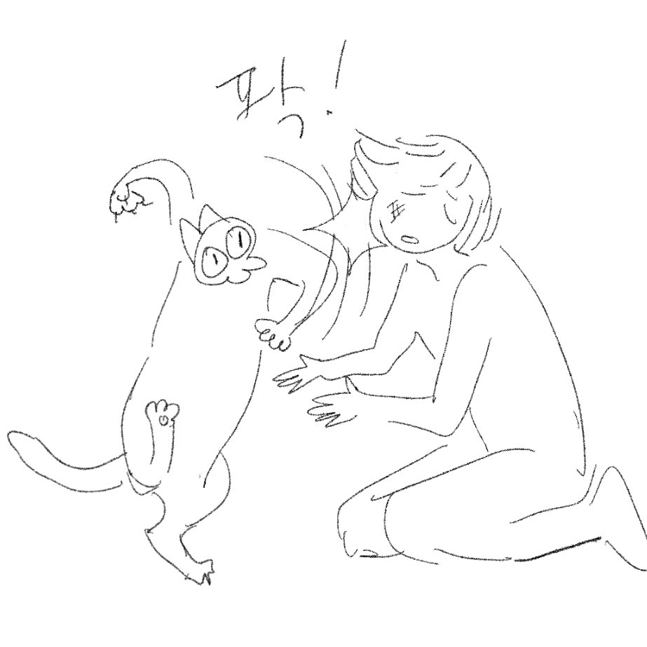 작은엄마 뺨때리는고양이 