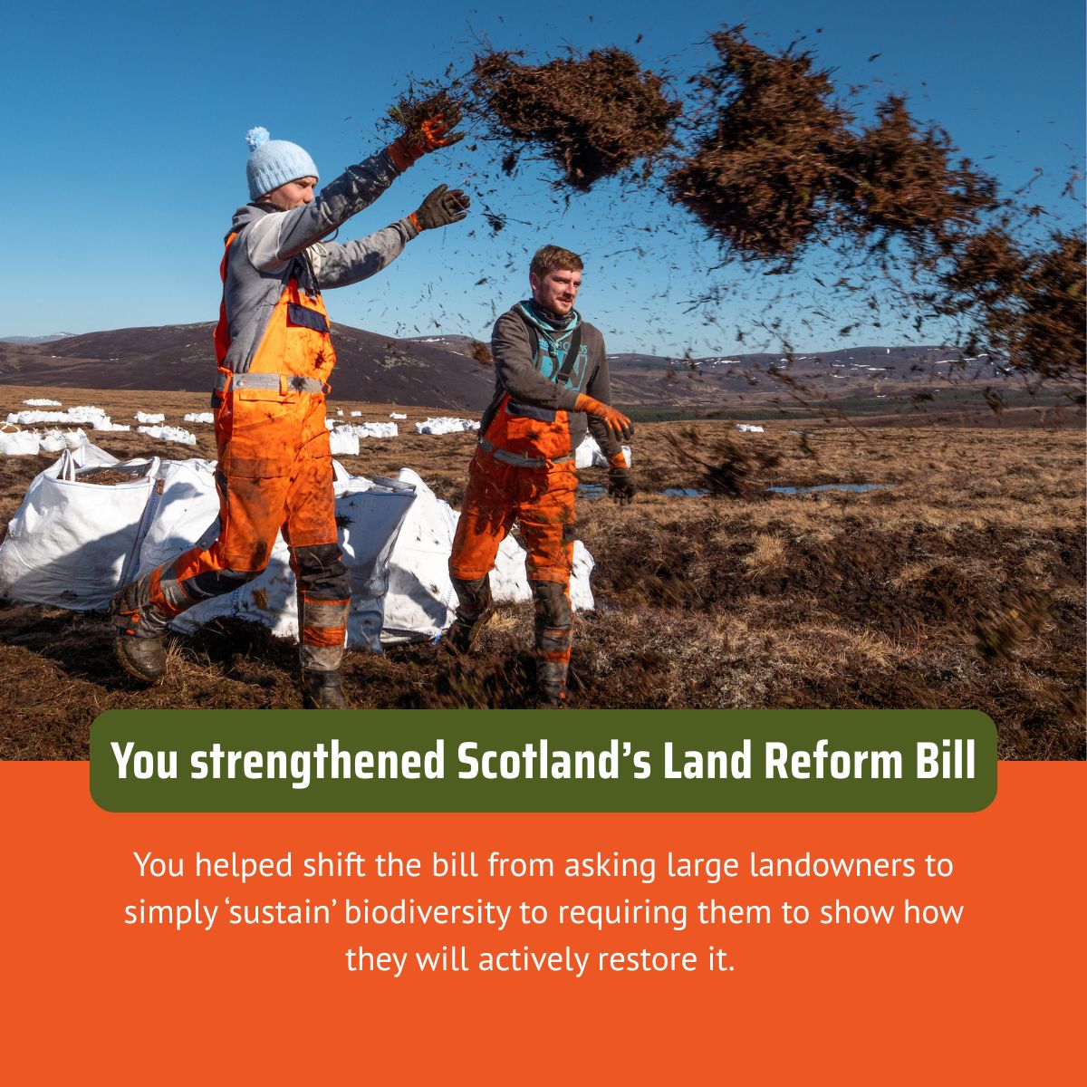 ScotRewilding's tweet image. As 2025 draws to a close, we’re looking back on a remarkable year – one in which we celebrated our sixth birthday and saw this community come into its own like never before. In a challenging landscape, you kept showing up, speaking out and driving real progress for rewilding in…