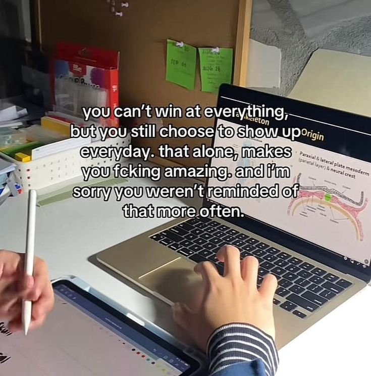 𝓁𝒾𝓁𝓎. tweet media