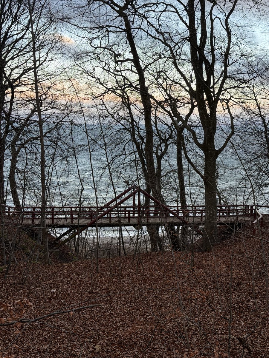 Simon Eskildsen tweet media