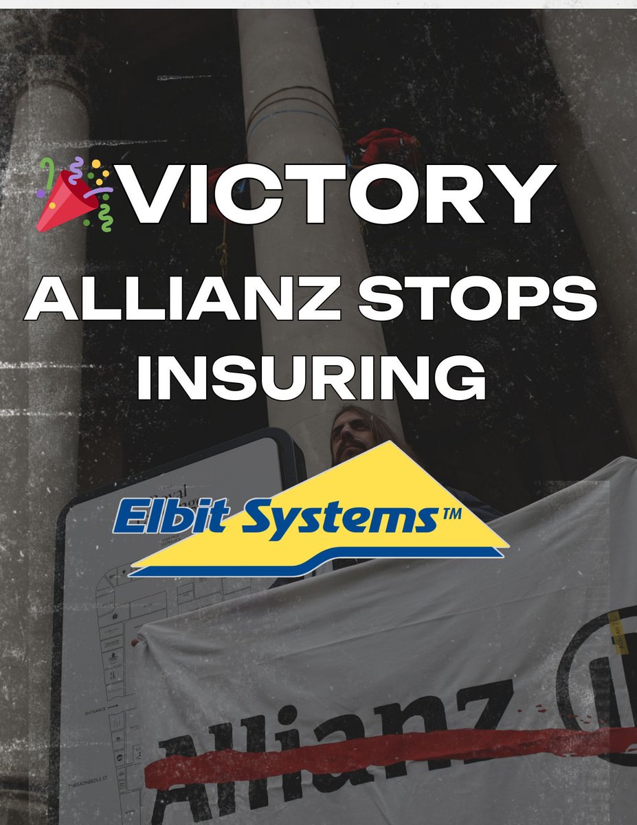 Boycott Bloody Insurance tweet media