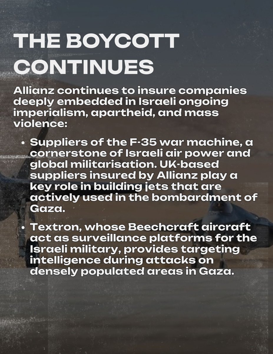 Boycott Bloody Insurance tweet media