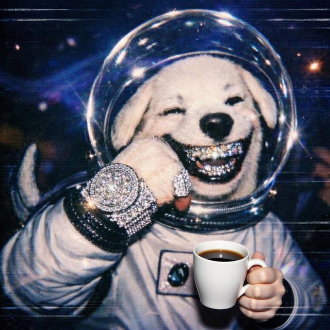 reapzzwhat28893's tweet photo. @GeckoTerminal Space dog #SDOG https://t.co/KWU6nojdCm