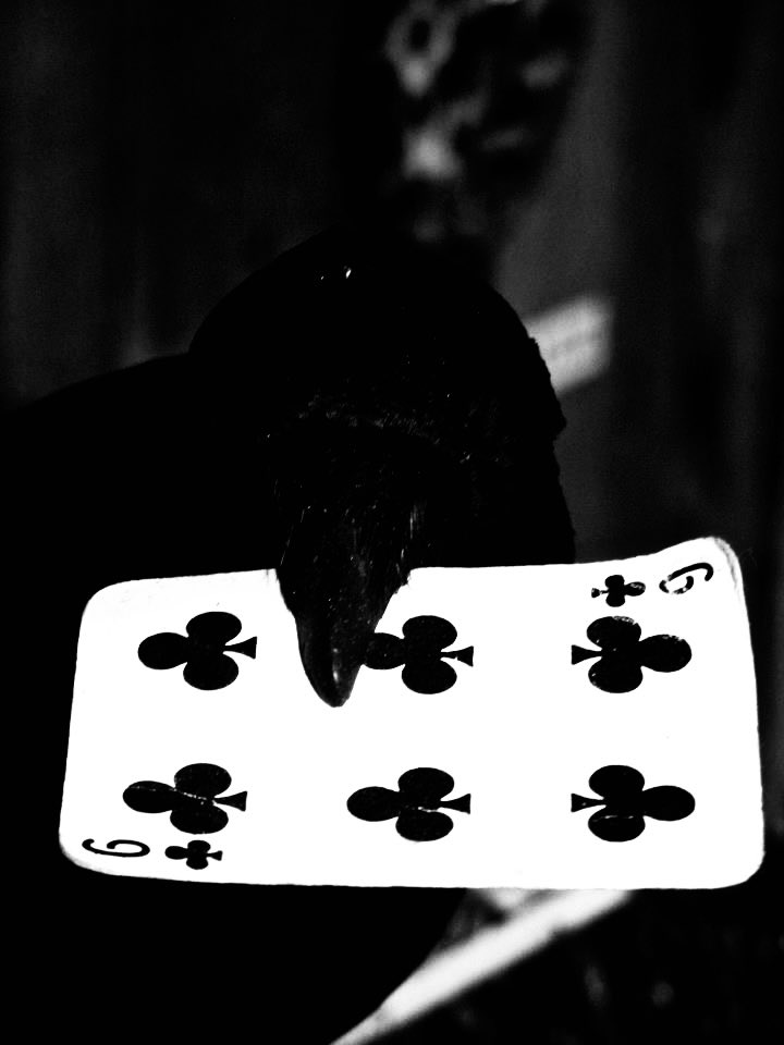 wisedjakex's tweet image. 